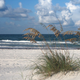 Illustration for article titled Flesh-Eating Bacteria Are Lurking In Warm Florida Waters